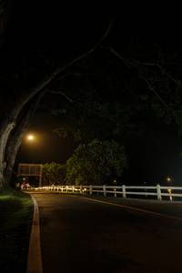 BIB: 
                            <button type="button" onclick="openModal(26553385)" class="btn btn-primary btn-sm float-right btn-popup" data-toggle="modal" data-target=".modal-high-quality">
                        <i class="fas fa-shopping-cart"></i> Add to Cart
                    </button>
                                            <button type="button" onclick="isThisMe(26553385, true)" class="btn btn-success btn-sm float-right btn-popup btn-isme hidden" data-toggle="tooltip" data-placement="bottom" title="นี่คือรูปของคุณใช่ไหม คลิกที่นี่เพื่อเอาเข้าอัลบั้ม">
                        <i class="fas fa-plus"></i> Add to album
                    </button>
                    <button type="button" onclick="isThisMe(26553385, false)" class="btn btn-warning btn-sm float-right btn-popup btn-isnotme hidden">
                        <i class="fas fa-ban"></i> Remove from album
                    </button>